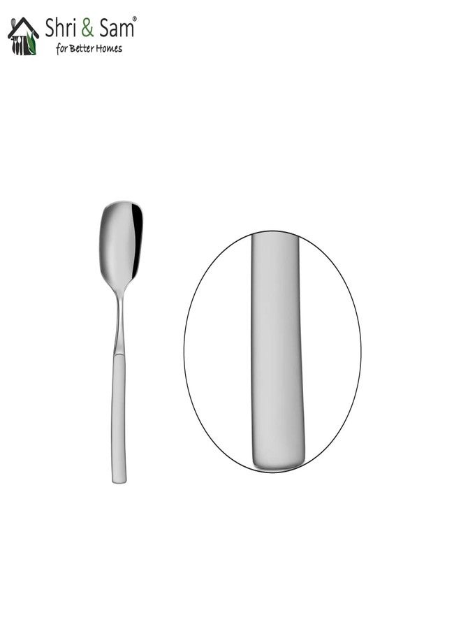 Shri & Sam Stainless Steel Jewel Cutlery Set (6 Pieces Ice Cream Spoon) - Image 3